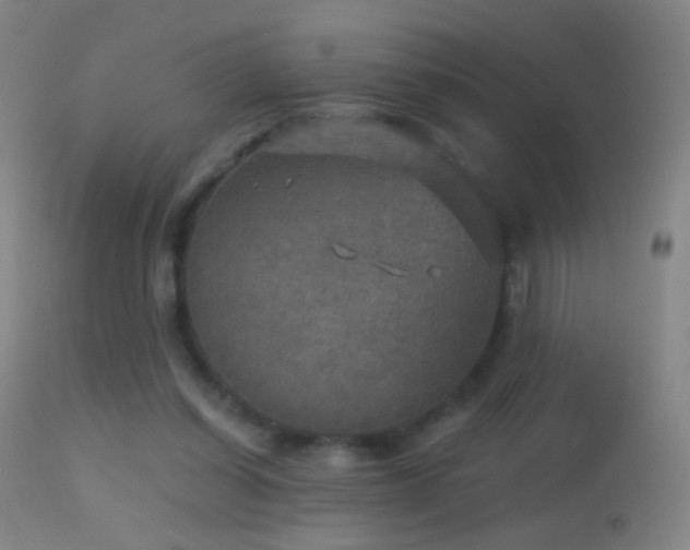 X0000114650254200910201515