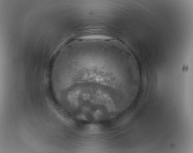 X0000114650255200910201515