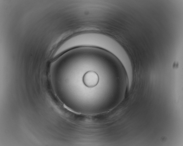 X0000114650256200910201515