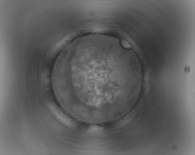 X0000114650257200910201515