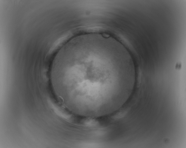 X0000114650258200910201515