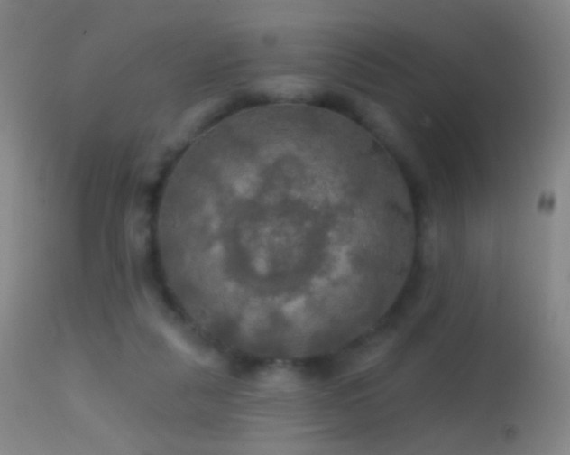 X0000114650259200910201515