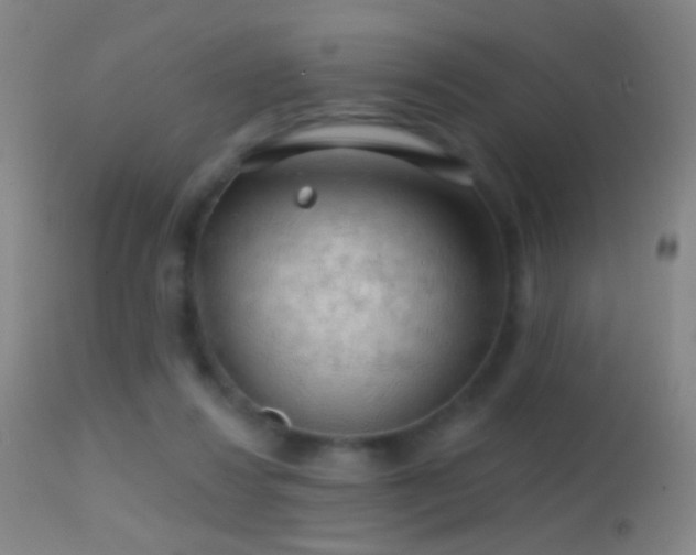 X0000114650260200910201515