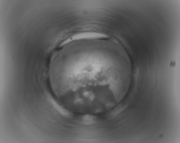 X0000114650261200910201515