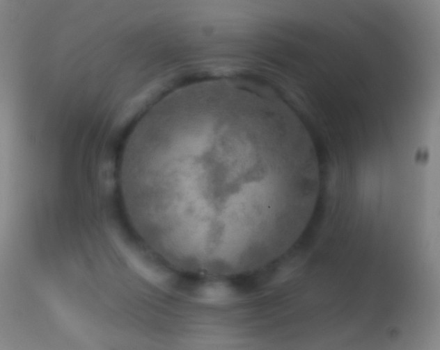 X0000114650262200910201515