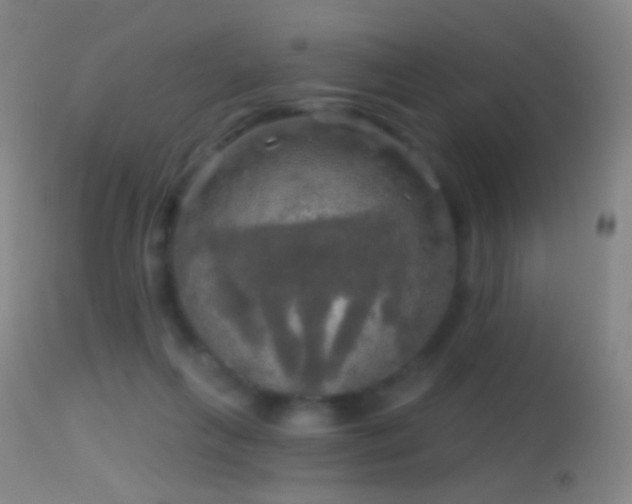 X0000114650263200910201515