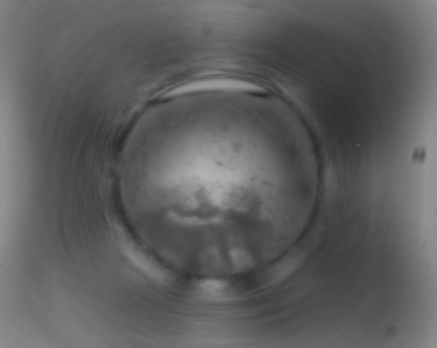 X0000114650265200910201515