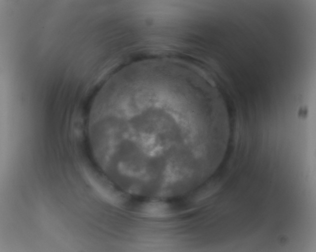 X0000114650266200910201515