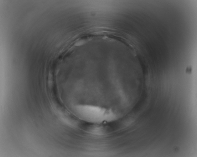 X0000114650267200910201515