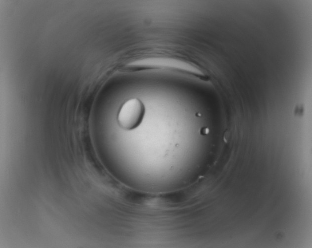 X0000114650268200910201515