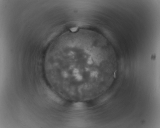 X0000114650269200910201515