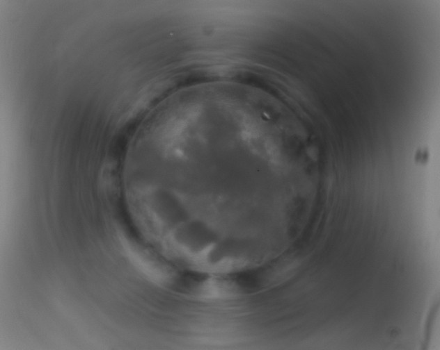 X0000114650270200910201515