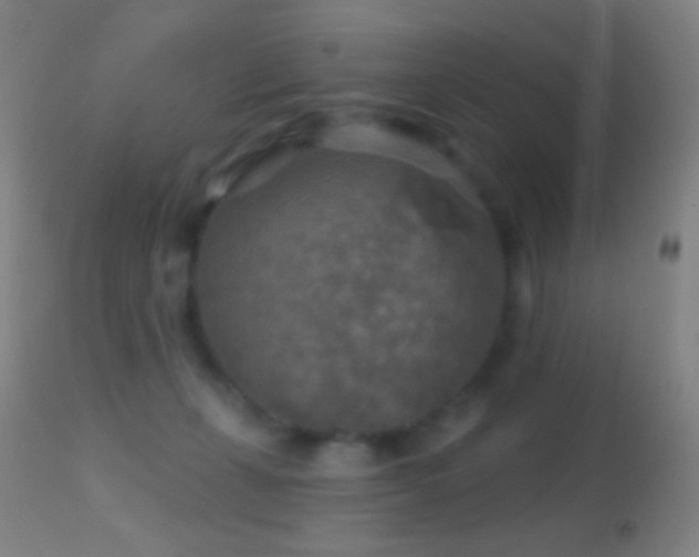 X0000114650271200910201515