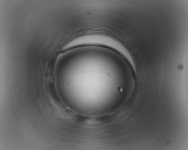 X0000114650272200910201515