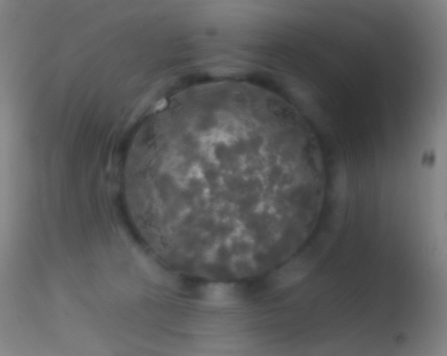 X0000114650273200910201515