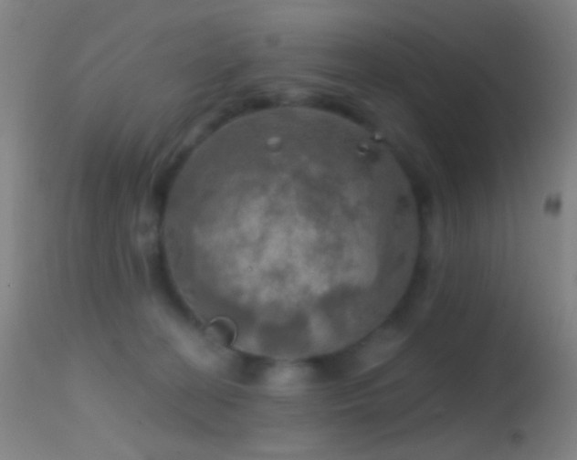 X0000114650274200910201515