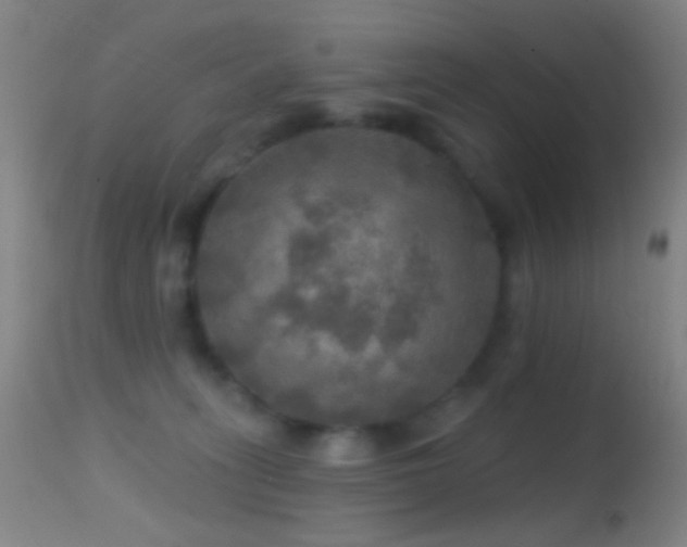 X0000114650275200910201515