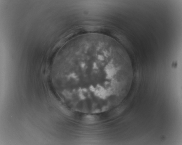 X0000114650277200910201515