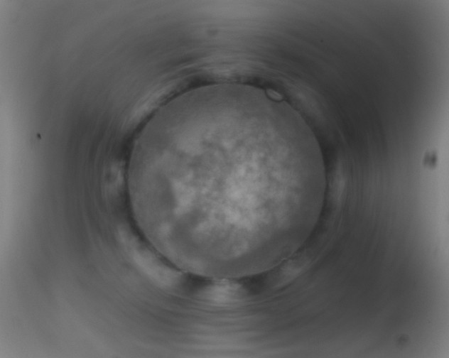 X0000114650278200910201515