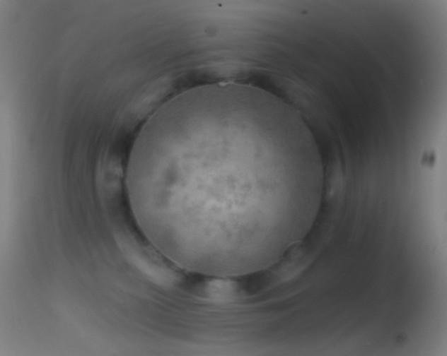 X0000114650279200910201515