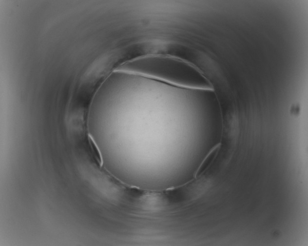 X0000114650280200910201515