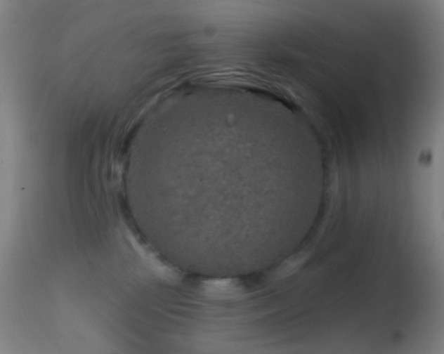 X0000114650281200910201515