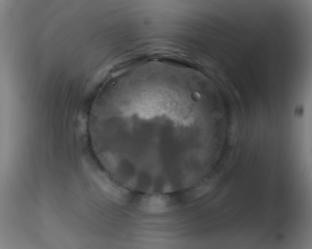 X0000114650282200910201515