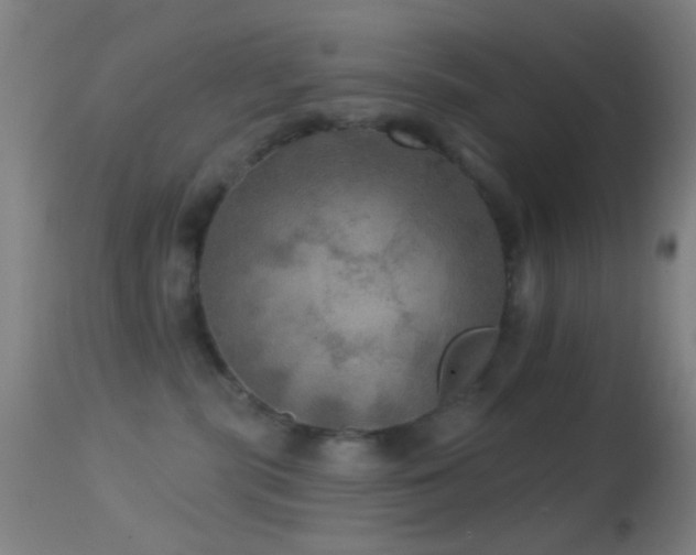 X0000114650283200910201515