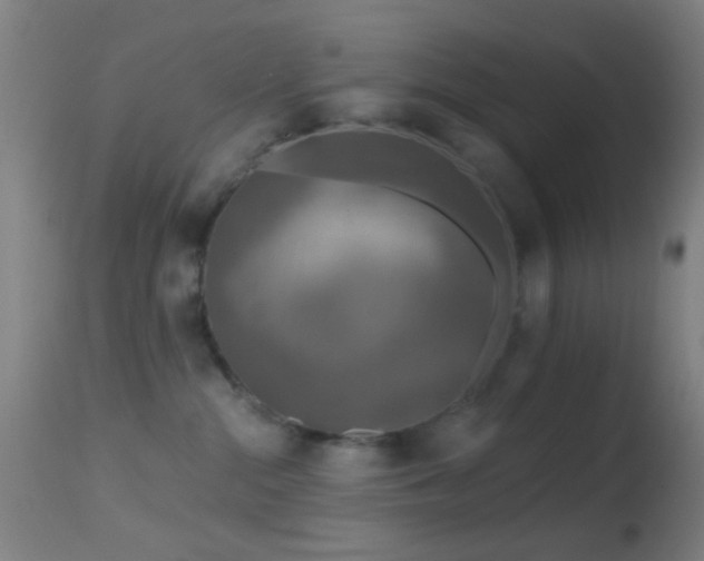 X0000114650284200910201515