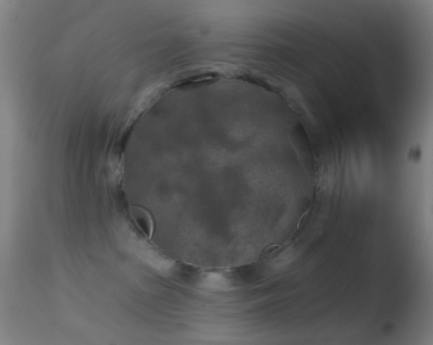 X0000114650285200910201515