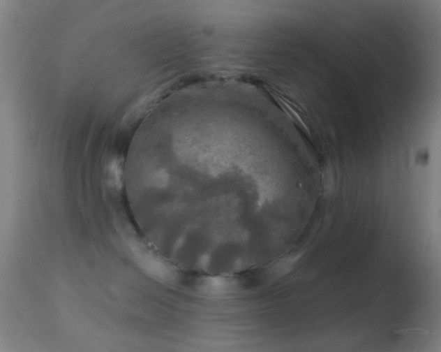 X0000114650286200910201515