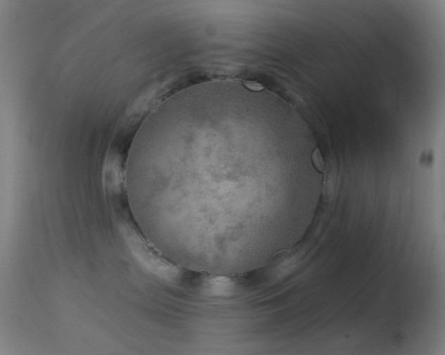 X0000114650287200910201515