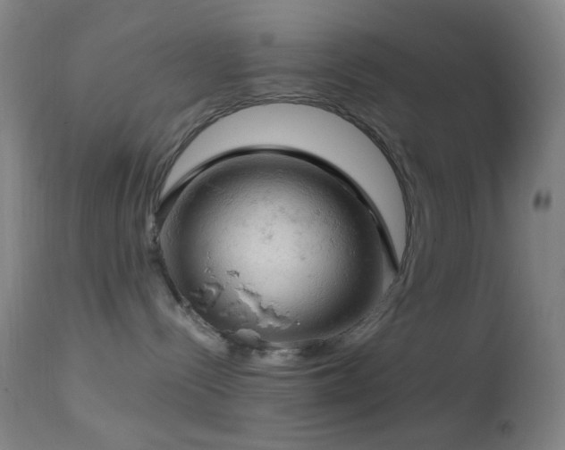 X0000114650288200910201515