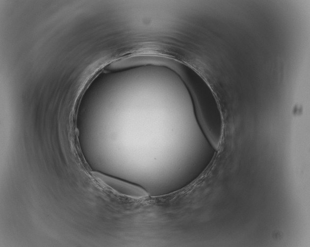 X0000114650289200910201514