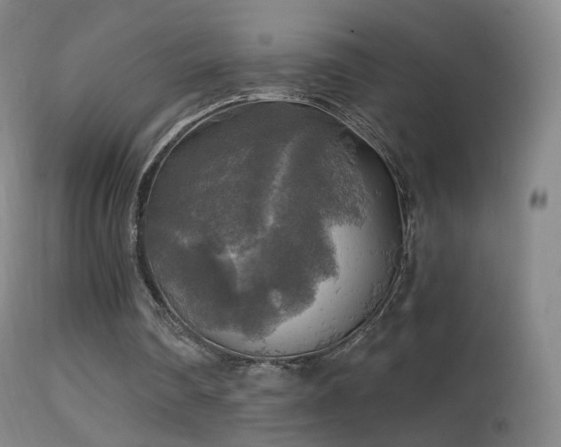 X0000114650290200910201514