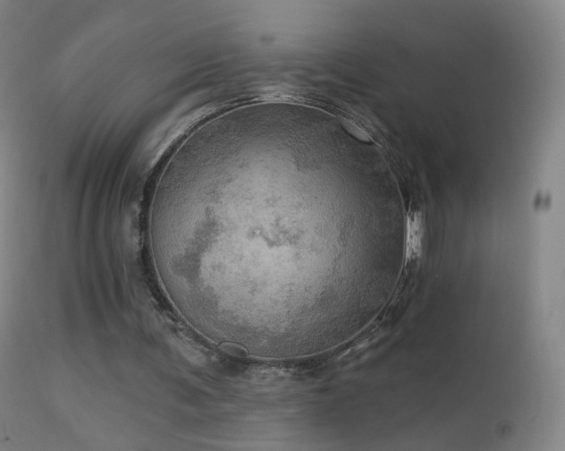 X0000114650291200910201514