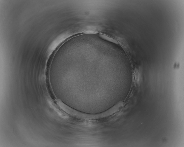 X0000114650292200910201514