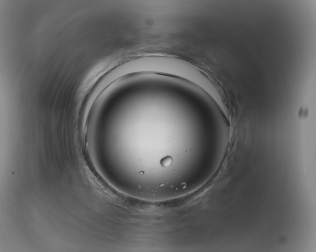 X0000114650293200910201514