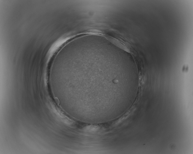 X0000114650294200910201514