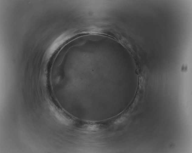 X0000114650295200910201514