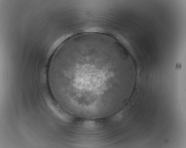 X0000114650298200910201514