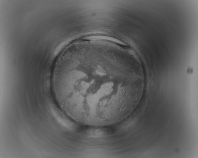 X0000114650299200910201514