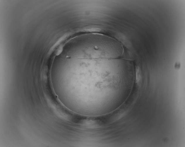 X0000114650300200910201514