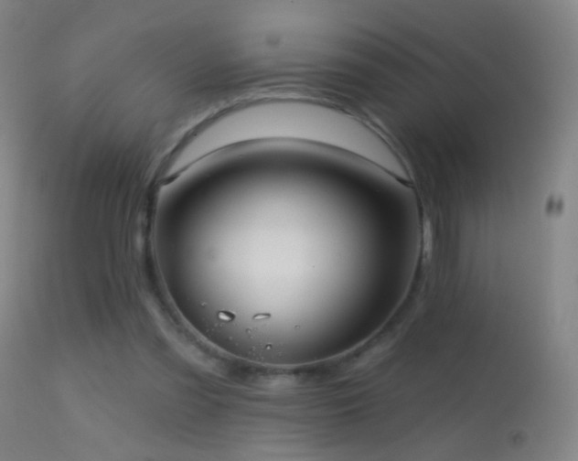 X0000114650301200910201514