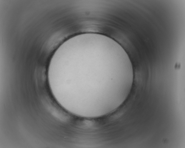 X0000114650302200910201514