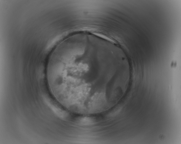 X0000114650303200910201514