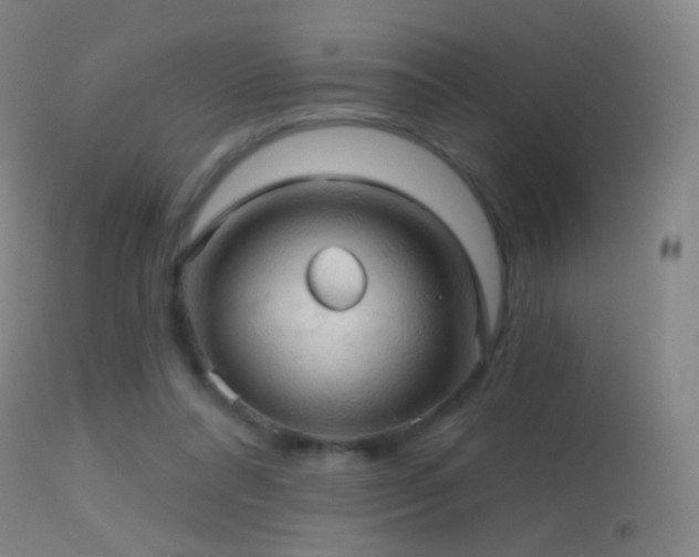 X0000114650304200910201514