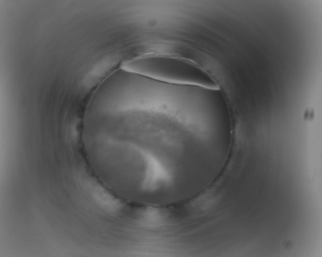 X0000114650305200910201514