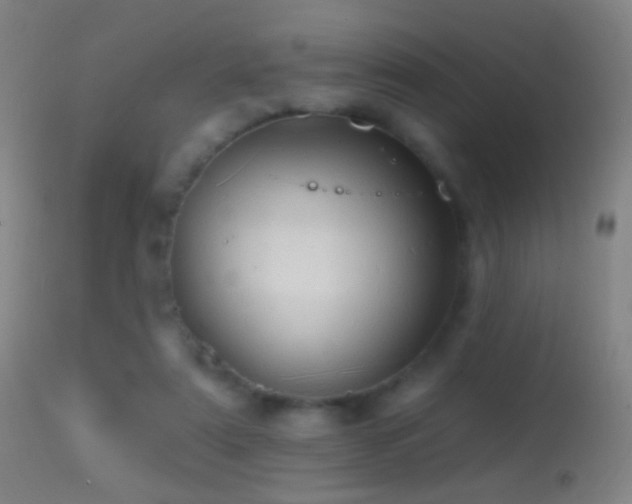 X0000114650307200910201514