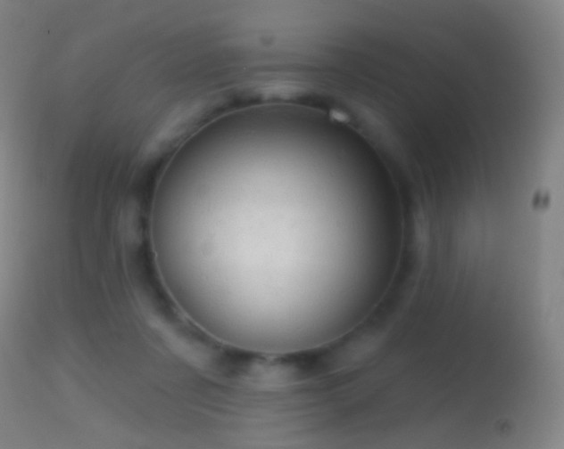 X0000114650311200910201514